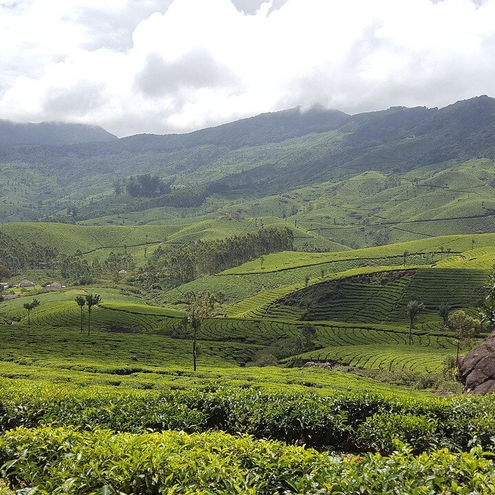 10 days kerala tour packages