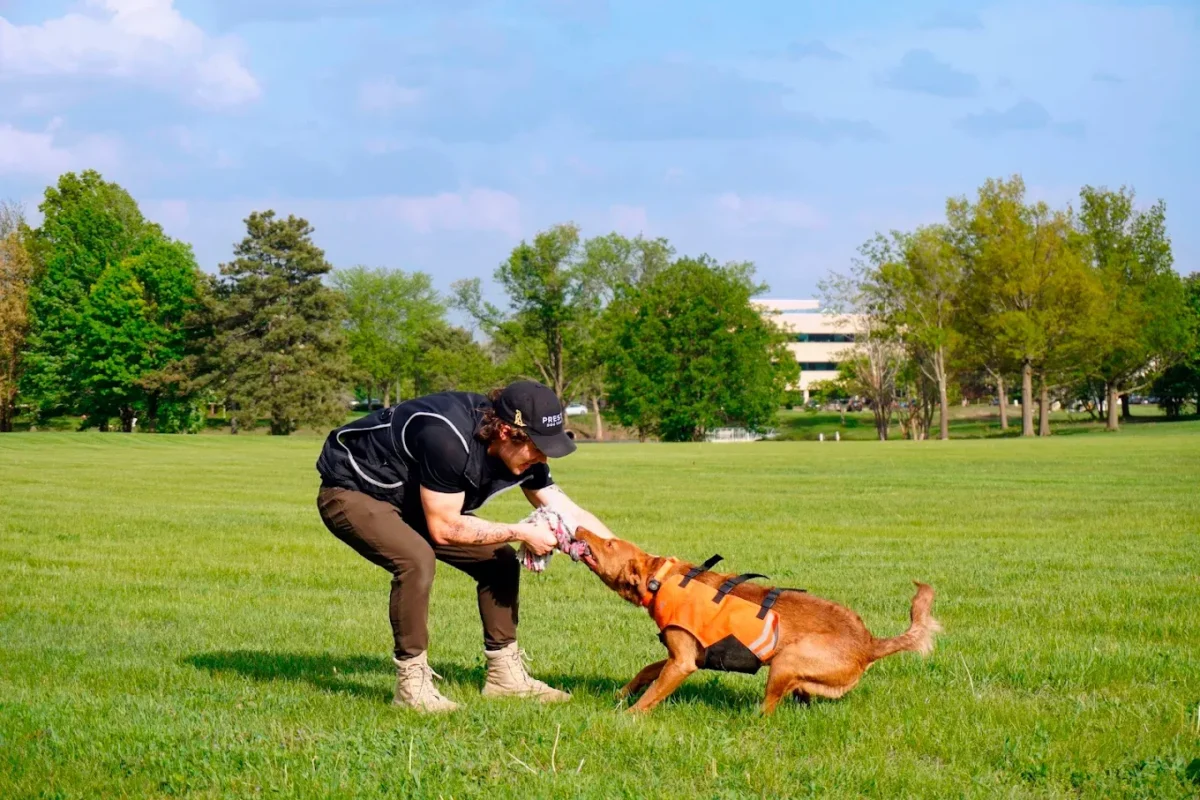 dog training academy in Chicago