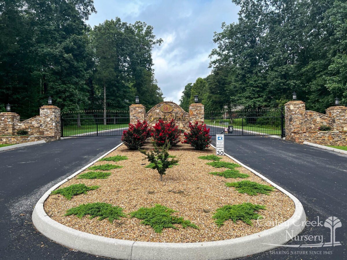 Caney creek nursery