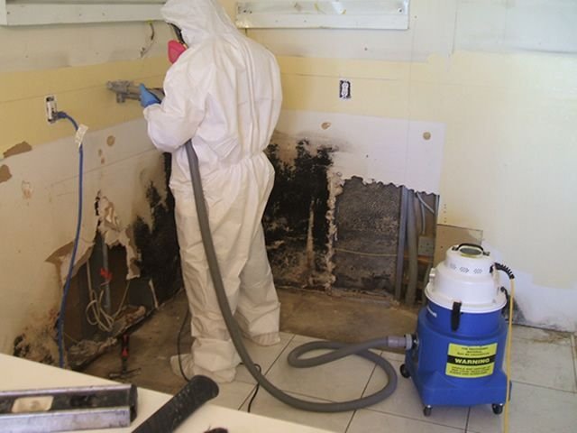 Mold Treatment