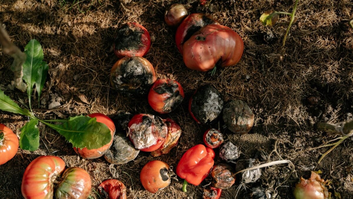 Organic garden waste considered to be an environmental threat & needs serious waste disposal