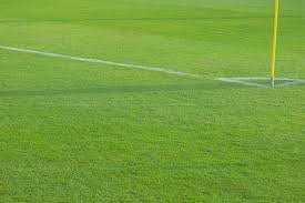 Turf Ground
