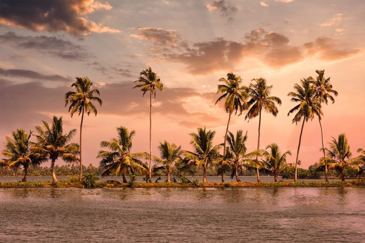 7 days Private Kerala Tour from Kochi
