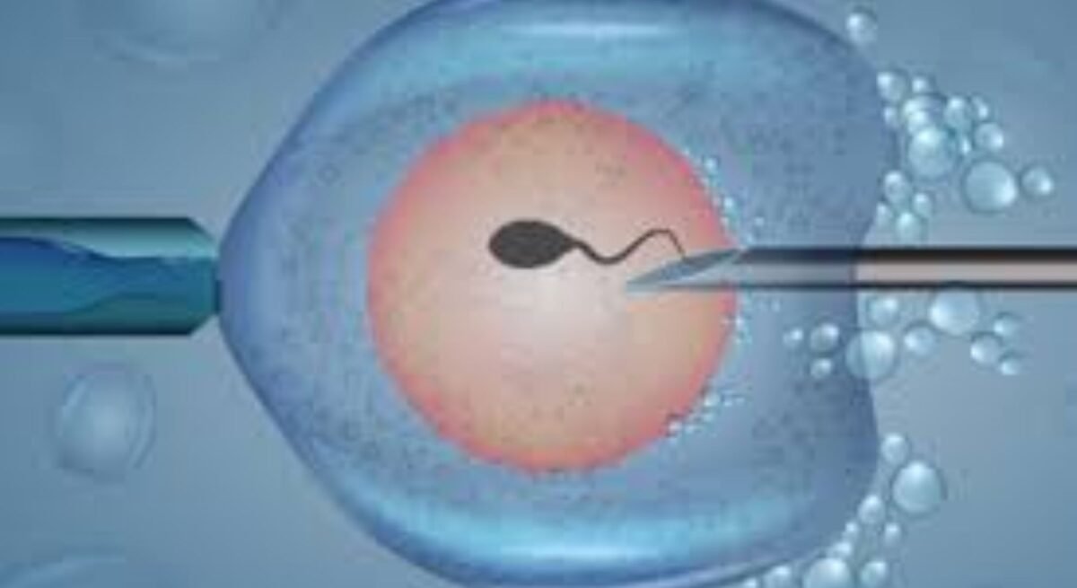 ivf treatment image