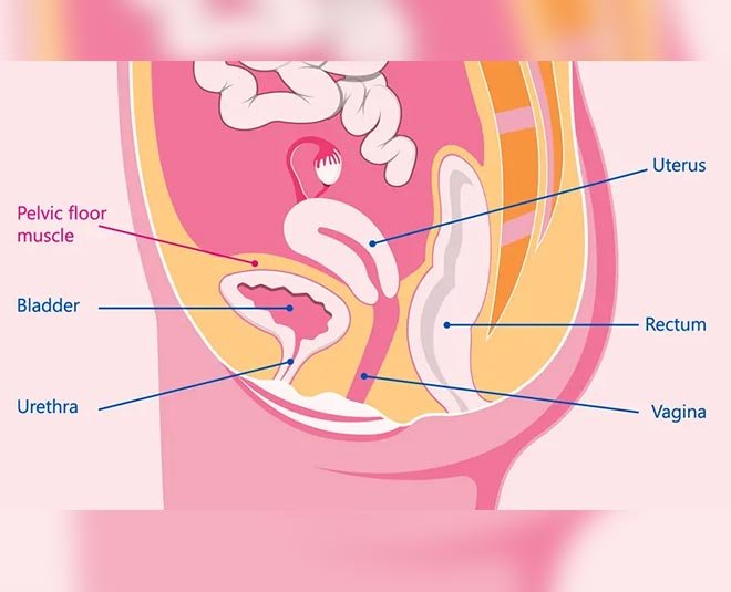 Radiant Rose – Vaginal/Pelvic Floor Treatment