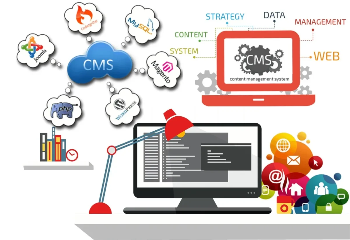 The Business Case for Investing in Custom CMS Development