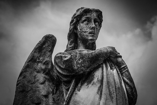 353 angel number